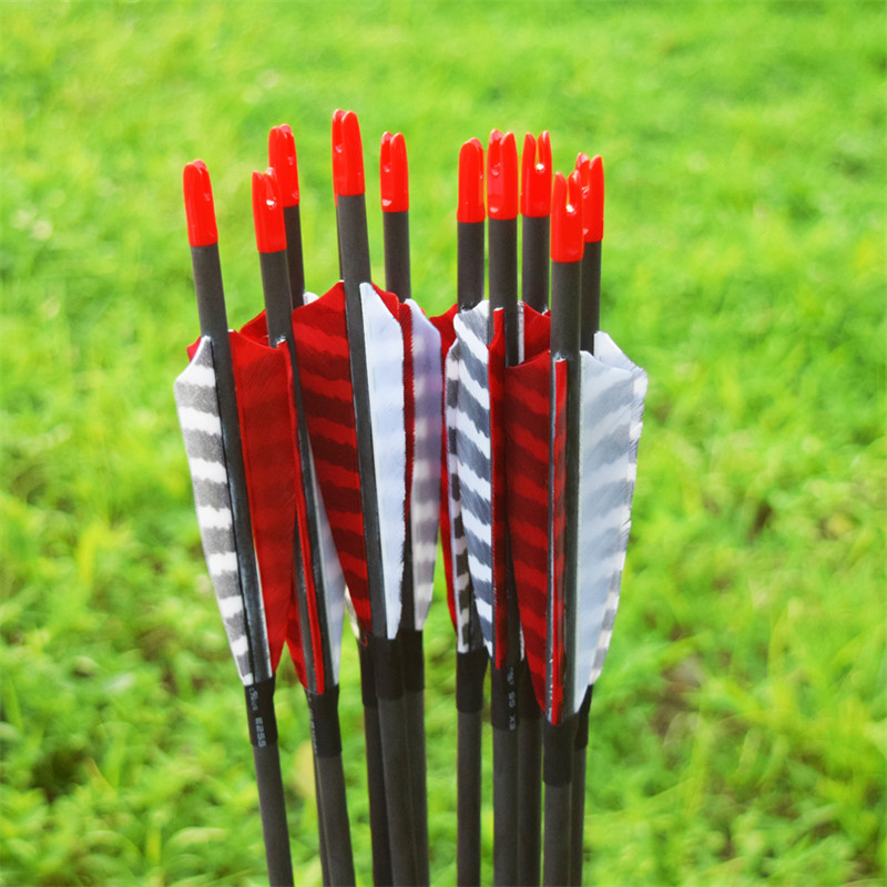 Seta de carbono do tiro com arco em venda quente